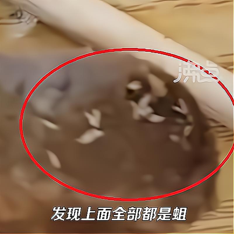admin 第51页