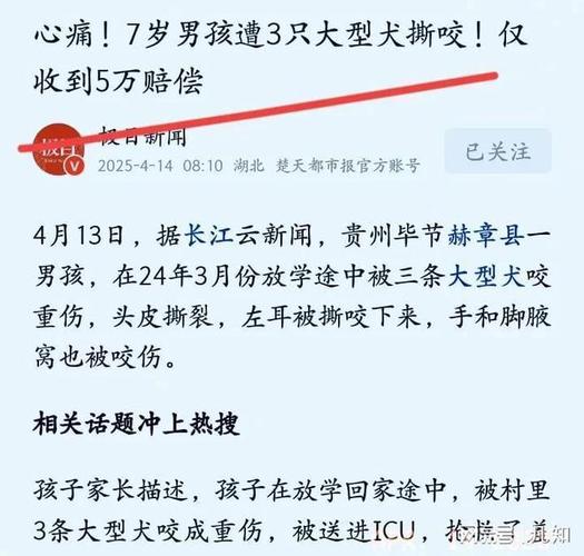 admin 第8页